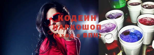 индика Пестово