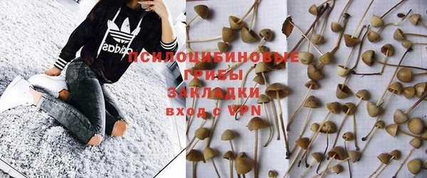 таблы Аркадак