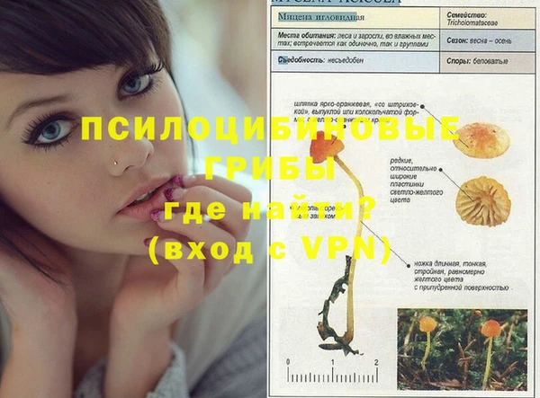 таблы Аркадак