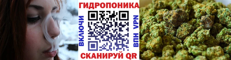 Бошки марихуана план  как найти закладки  Покров 